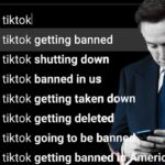 Donald Trump estaría de acuerdo con que Elon Musk comprase TikTok si así lo desea