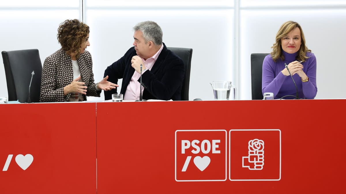 El desembarco de ministros sacude las federaciones del PSOE: “Pedro no puede salir derrotado de esto”