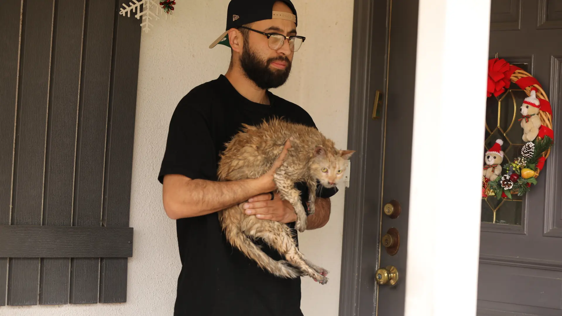 Los protocolos de evacuación con animales en Los Ángeles durante los incendios: medidas y normativa