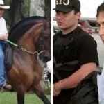 Montando caballos finos en Medellín, así pasa sus días el excapo Fabio Ochoa