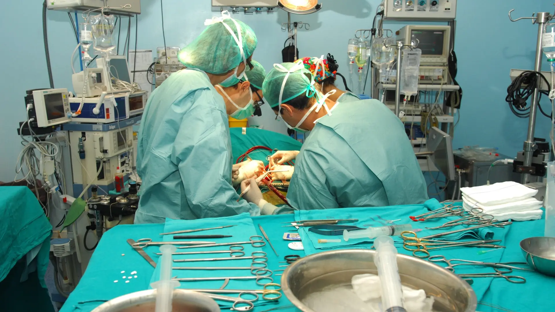 el curso en Madrid para hacer trasplantes