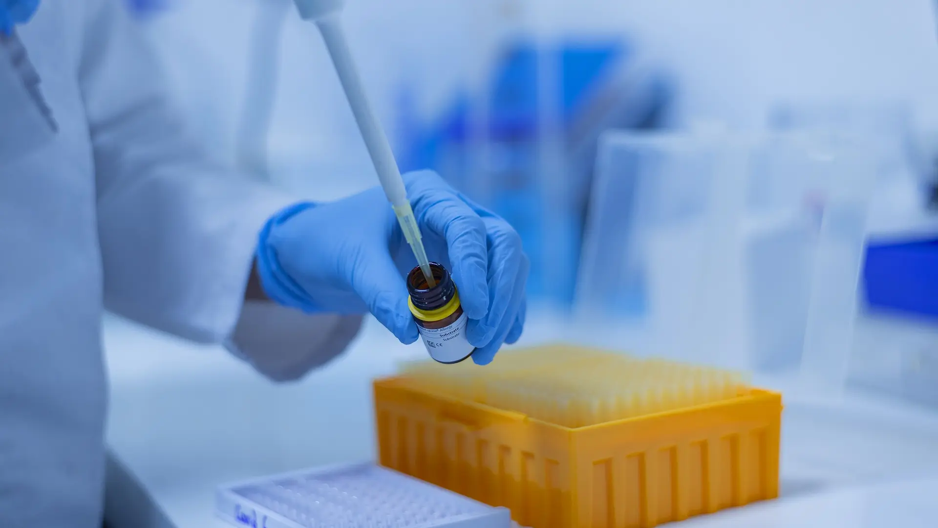 Científicos coreanos hallan un ‘interruptor’ que revierte el funcionamiento de las células cancerosas