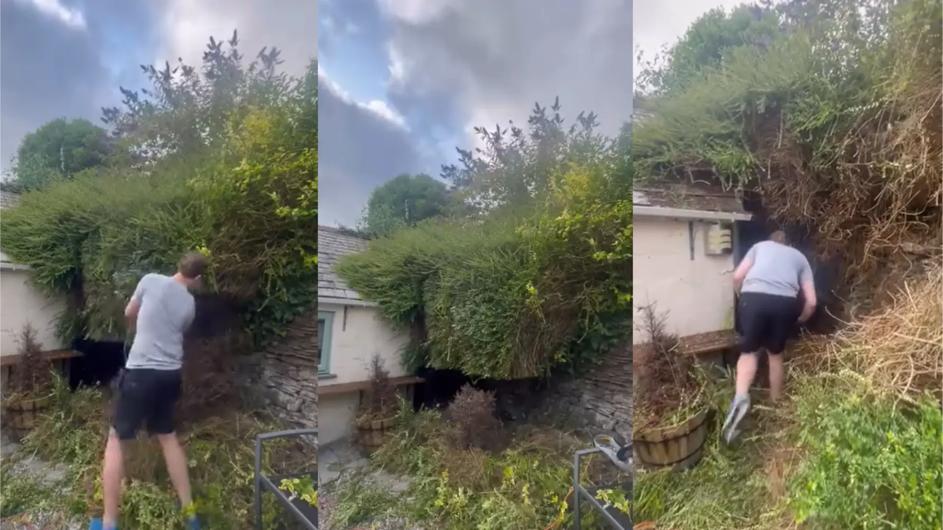 Los perros de una pareja encuentran un edificio secreto en el jardín: «Nos encanta el 2×1»