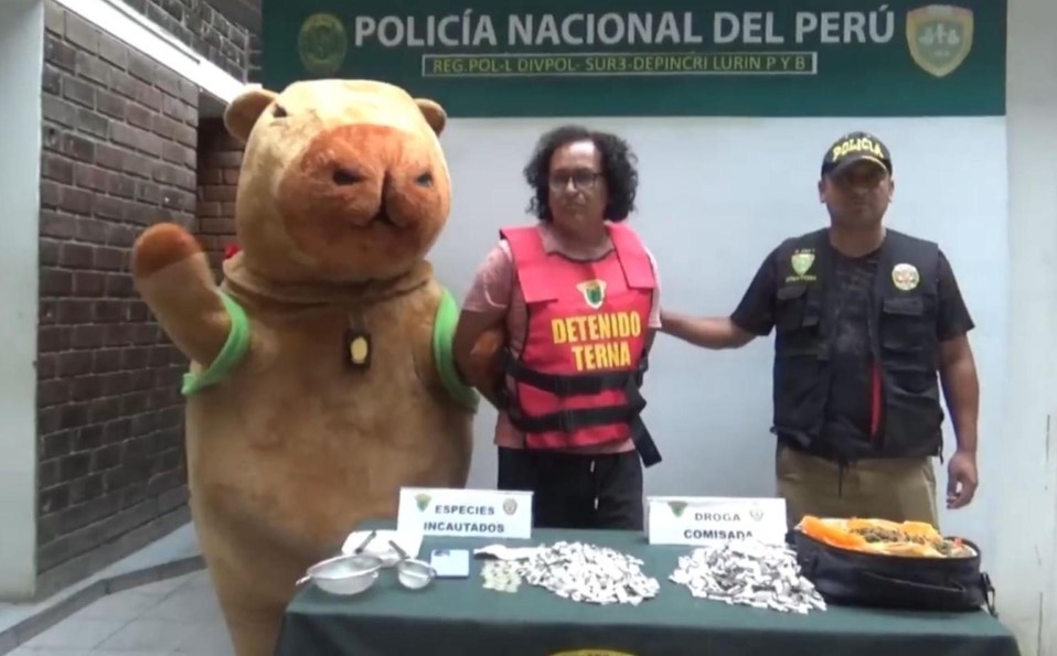 Un policía se disfraza de capibara gigante para capturar a un microtraficante de drogas en Perú