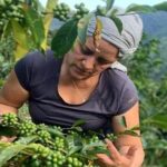 Noticias Antioquia: Invertirán 0 mil millones para sector agropecuario