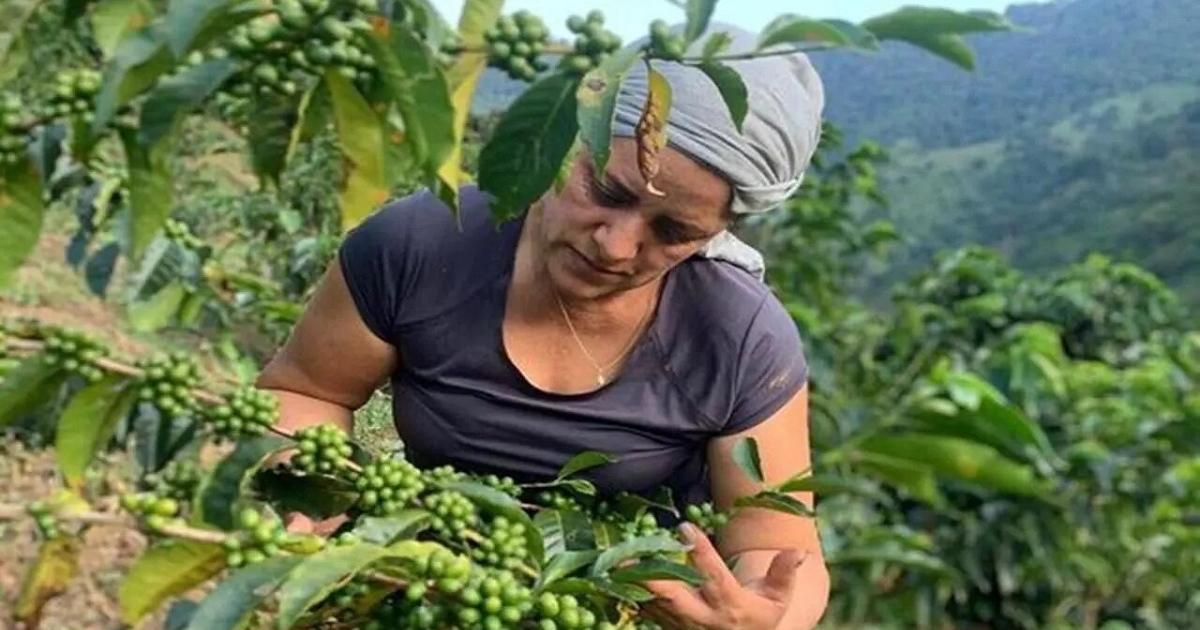 Noticias Antioquia: Invertirán 0 mil millones para sector agropecuario