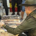 Noticias Medellín: Incautan más de 341 kilos de pescado