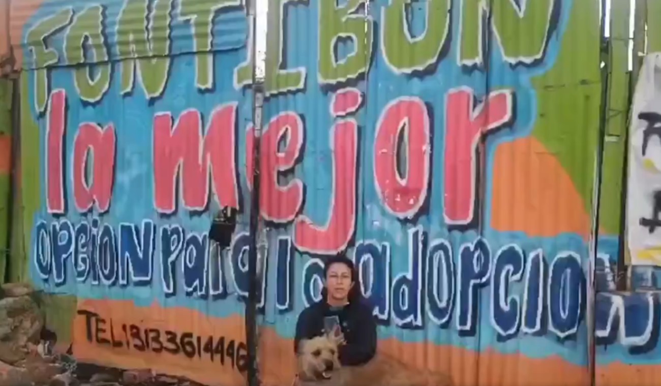 Galán desaloja fundación de animales en Fontibón: ciudadanos forman pelea Galán desaloja fundación de animales en Fontibón: ciudadanos forman pelea