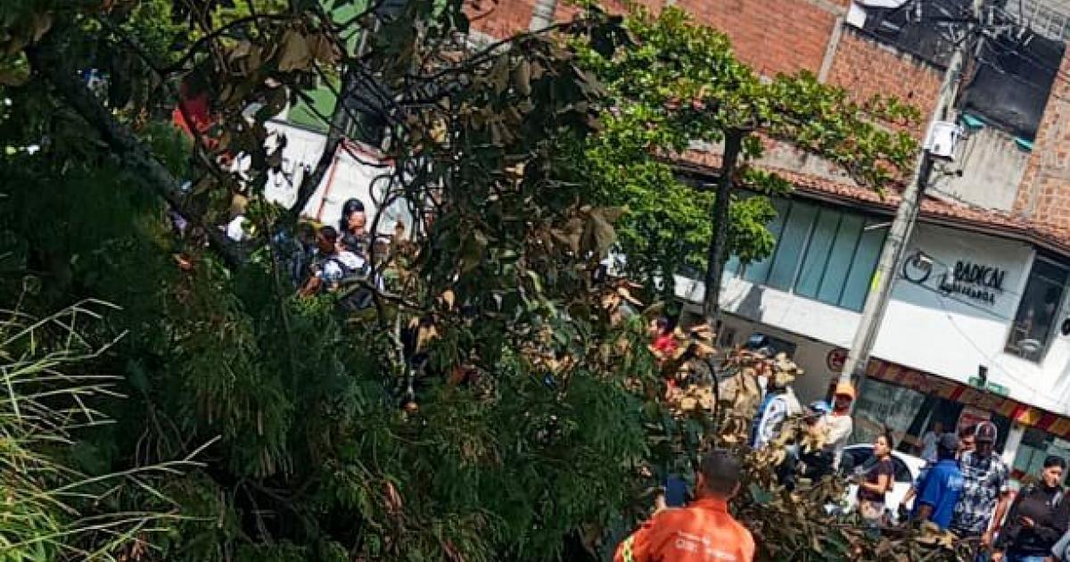 Noticias Medellín: Un policía murió luego que le cayera un árbol Noticias Medellín: Un policía murió luego que le cayera un árbol