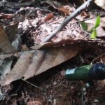 Noticias Antioquia: Denuncian ante la OEA que 80% del Chocó está minado