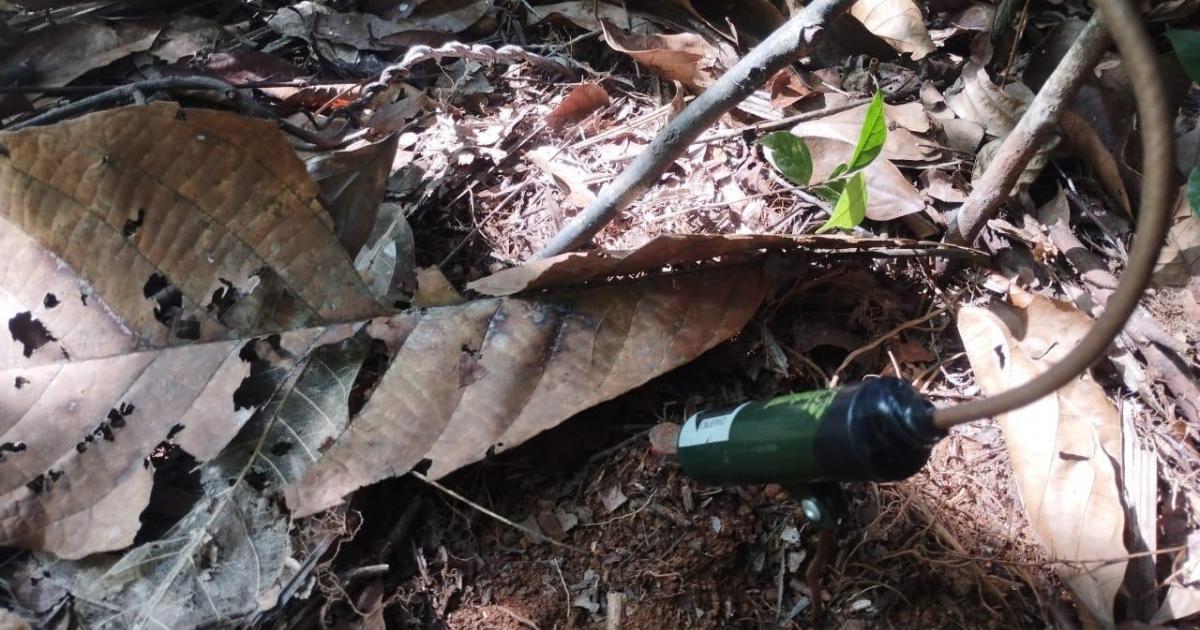Noticias Antioquia: Denuncian ante la OEA que 80% del Chocó está minado Noticias Antioquia: Denuncian ante la OEA que 80% del Chocó está minado