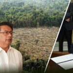 ¿Qué le espera al Amazonas y al medio ambiente de América Latina con Trump en el poder?