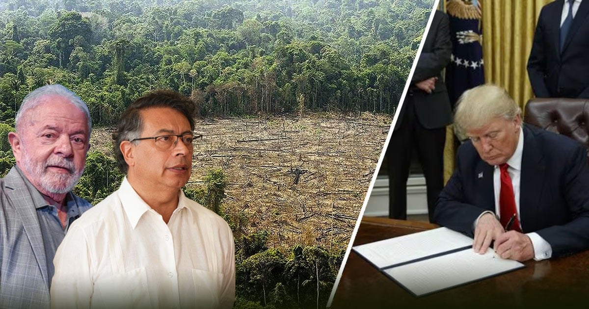 ¿Qué le espera al Amazonas y al medio ambiente de América Latina con Trump en el poder?