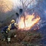 Asturias registra una veintena de incendios forestales en quince concejos