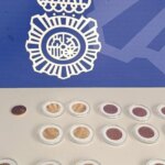 Cinco detenidos acusados de estafar más de 24.000 euros vendiendo réplicas de monedas de oro en Córdoba