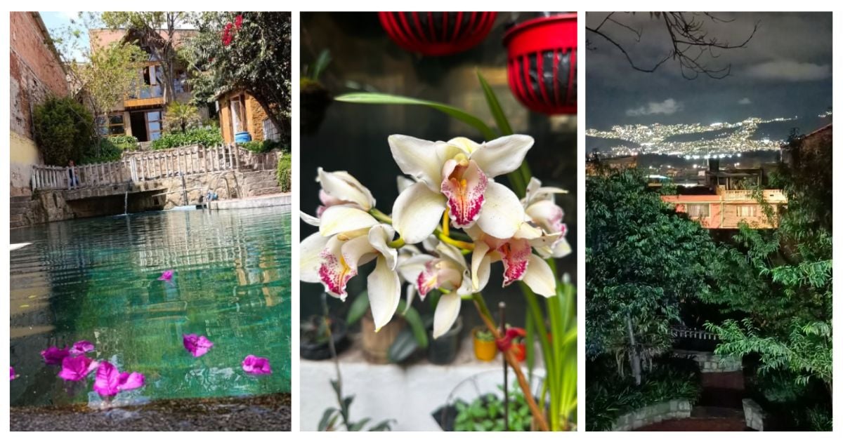 Jardín Botánico con piscina de agua cristalina en el corazón de Ciudad Bolívar