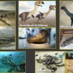 Los restos de animales prehistóricos más impresionantes que se han encontrado en Colombia