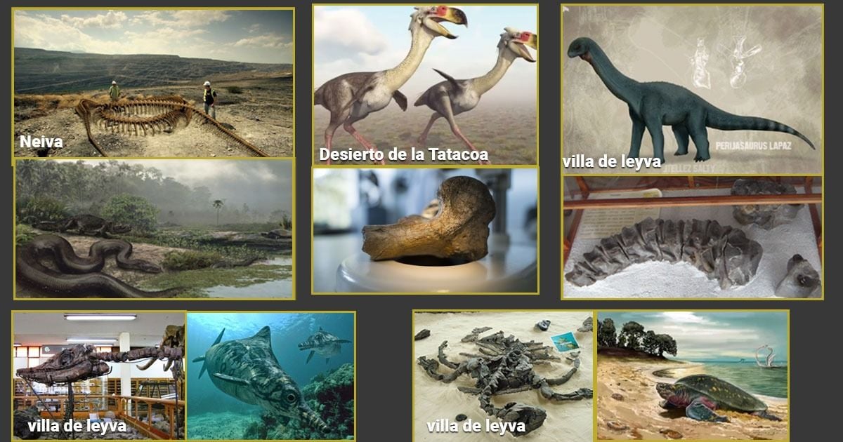 Los restos de animales prehistóricos más impresionantes que se han encontrado en Colombia