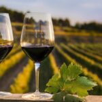 Llega la feria de enoturismo más importante del mundo: más de 140 bodegas se dan cita en Valladolid