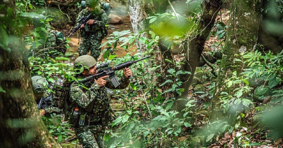 Noticias Antioquia: Tres integrantes del Clan del Golfo muertos en combate