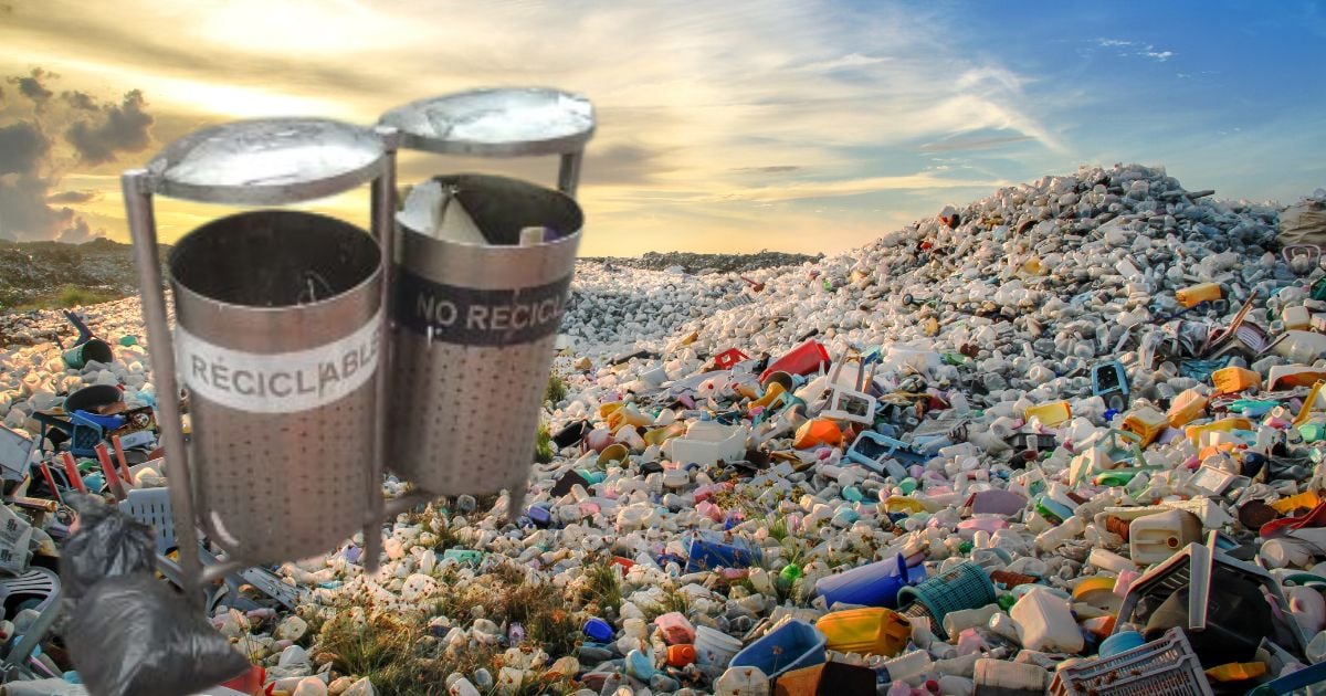 el fracaso de un contrato millonario