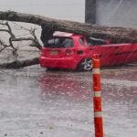 Noticias Antioquia: lluvias en Medellín, 22 emergencias por árboles caídos