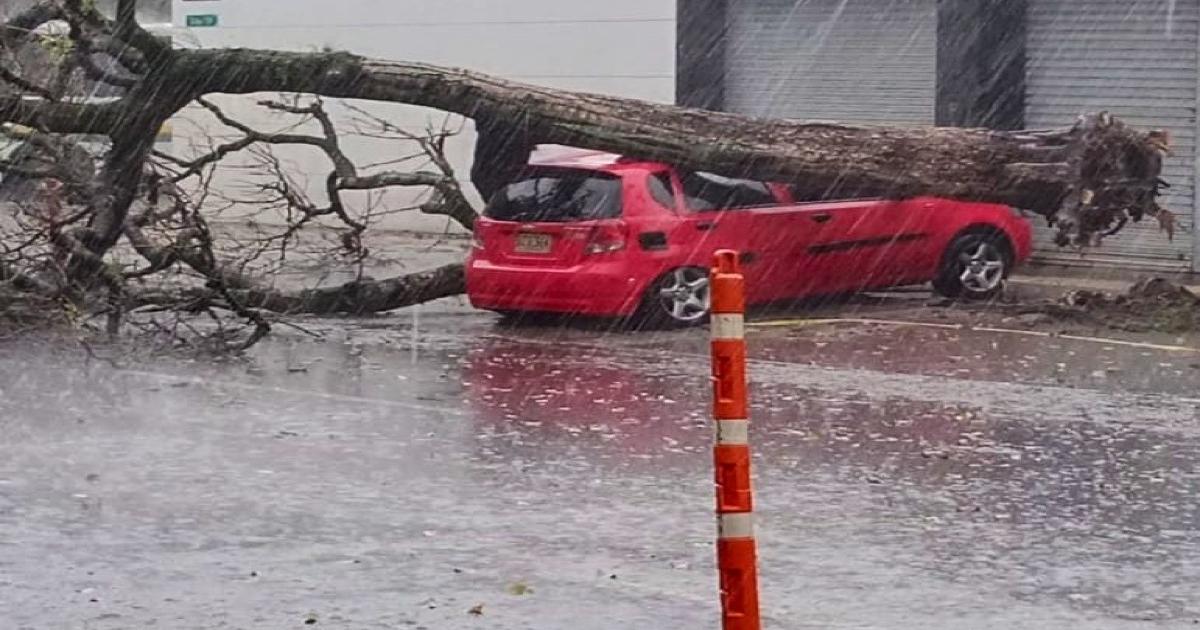Noticias Antioquia: lluvias en Medellín, 22 emergencias por árboles caídos