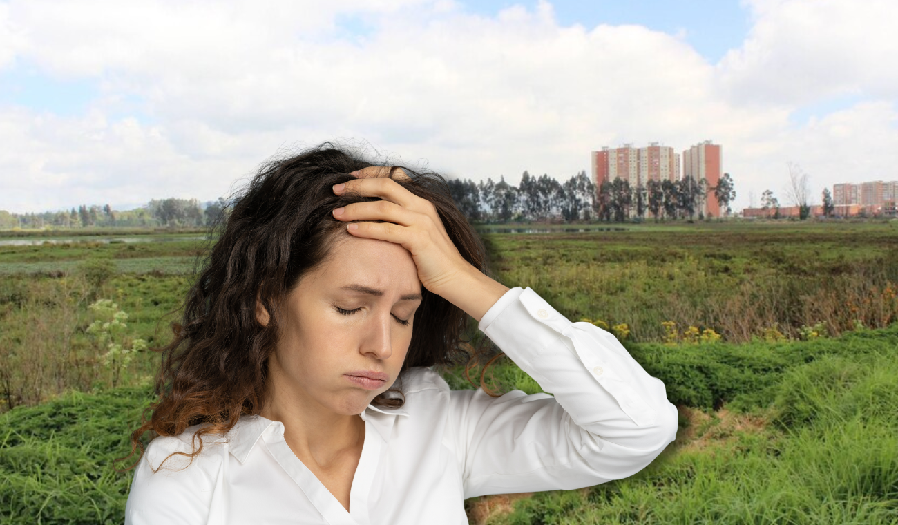 Humedales serán pavimentados: Tribunal de Cundinamarca tomó decisión