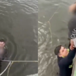 [Video] Mujer casi se ahoga en humedal: policía la dio toda para salvarla