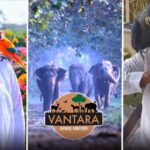 la millonaria transacción de animales entre Venezuela y el más rico de la India