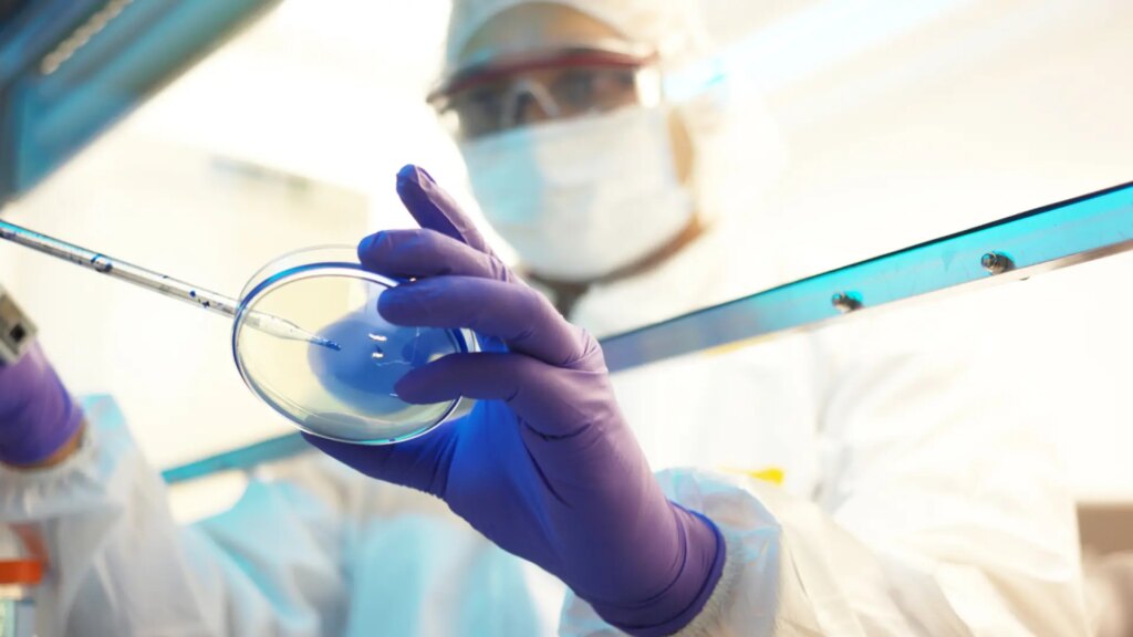 Descubren la lariodicina, una nueva molécula y «firme candidata» a antibiótico por su resistencia a las bacterias