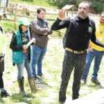 Noticias Antioquia: Un puma fue avistado en el Suroeste y Oriente
