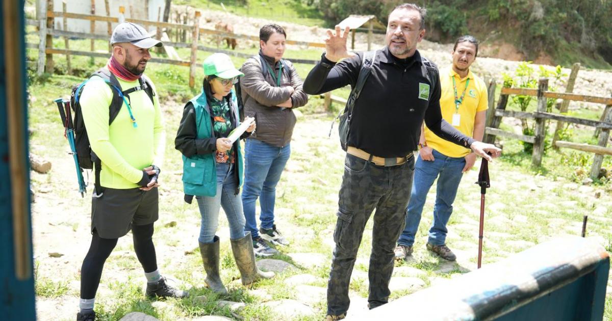 Noticias Antioquia: Un puma fue avistado en el Suroeste y Oriente Noticias Antioquia: Un puma fue avistado en el Suroeste y Oriente