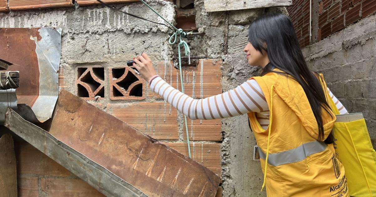 Noticias Medellín: Cómo evitar enfermedades transmitidas por mosquitos Noticias Medellín: Cómo evitar enfermedades transmitidas por mosquitos