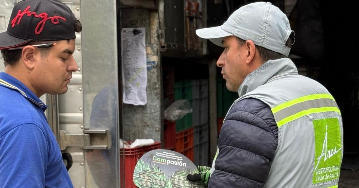 Noticias Antioquia: Rescataron 53 añimales silvestres en Semana Santa Noticias Antioquia: Rescataron 53 añimales silvestres en Semana Santa