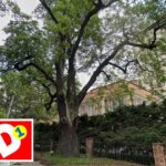 El español que manda en D1 invertirá millones en la que será la gran sede en el norte de Bogotá