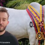 La vaca Lunita del ganadero paisa Juan Pablo Sierra por la que pagaron casi mil millones