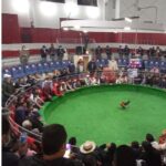 San Miguel, el templo donde juegan los últimos galleros en Bogotá