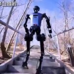 corredores humanos contra runners robots