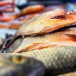Noticias Colombia: Precio del pescado este jueves Santo Noticias Colombia: Precio del pescado este jueves Santo