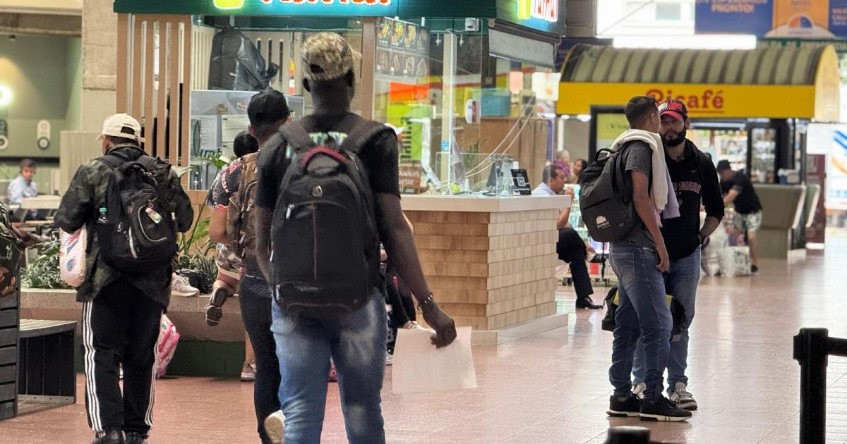 Noticias Medellín: Recomiendan en Semana Santa no divulgar planes de viaje Noticias Medellín: Recomiendan en Semana Santa no divulgar planes de viaje