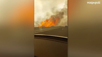 Una ola de incendios junto a Jerusalén oscurece el Día de la Independencia israelí