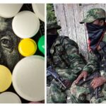 El narcotráfico en el Cauca no es solo cosa del ‘guerrillo’, es toda una mafia con padrinos políticos El narcotráfico en el Cauca no es solo cosa del ‘guerrillo’, es toda una mafia con padrinos políticos