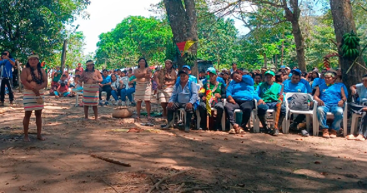 Ellos son los Motilones, los 3 mil indígenas que el gobierno Petro protegerá en el Catatumbo
