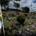 Quienes están detrás de las funerarias y cementerios para mascotas en Bogotá Quienes están detrás de las funerarias y cementerios para mascotas en Bogotá