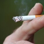 «Son una perfecta entrada para menores» «Son una perfecta entrada para menores»