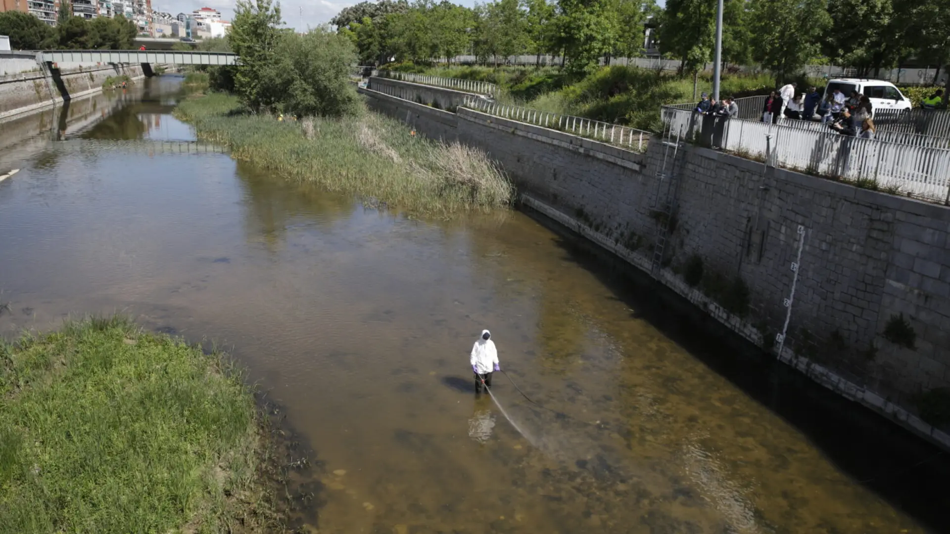 «Su mordedura es dolorosa y provoca grandes reacciones»