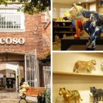 arte, conservación y una nueva mirada desde El Coso