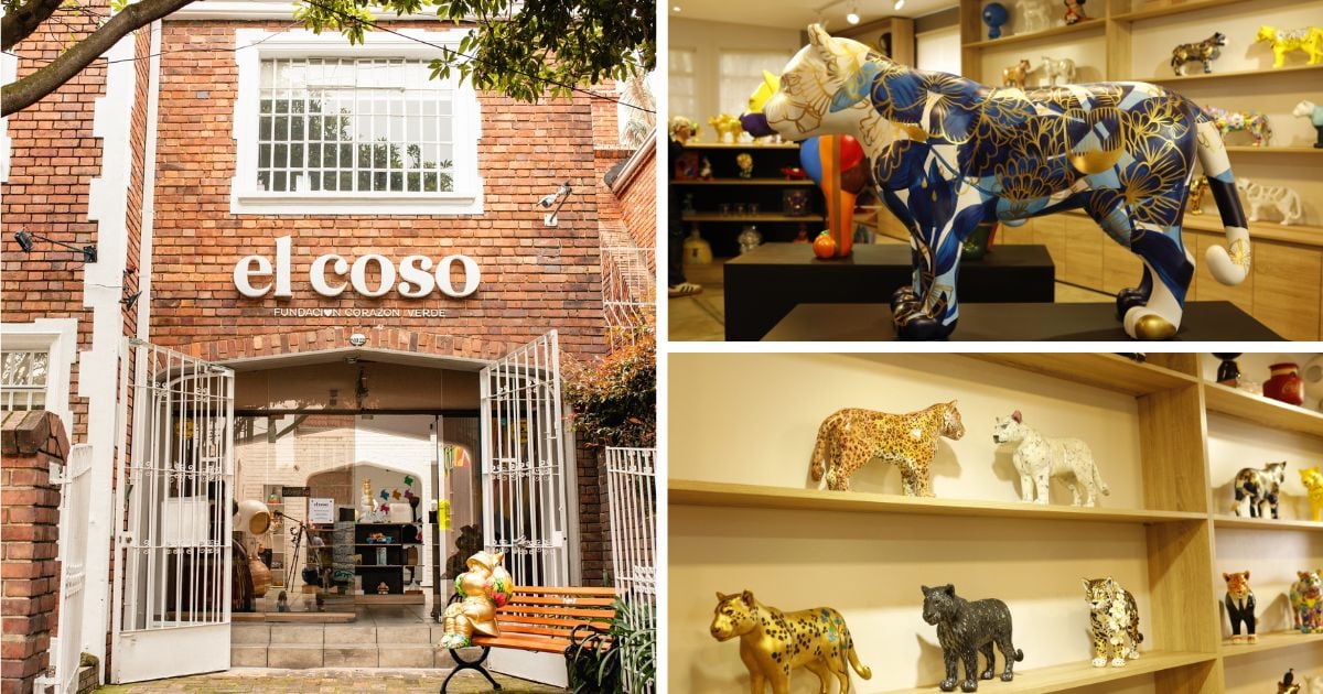 arte, conservación y una nueva mirada desde El Coso