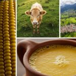 Cuál es el mejor pueblo de Cundinamarca para tomarse una buena chicha